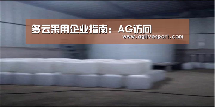 多云采用企业指南:AG访问(图3) AG首页