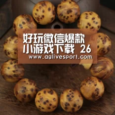 好玩微信爆款小游戏下载 26款微信小游戏合辑-AGLive(图3) 好玩微信爆款小游戏下载 26款微信小游戏合辑-AGLive(图3)