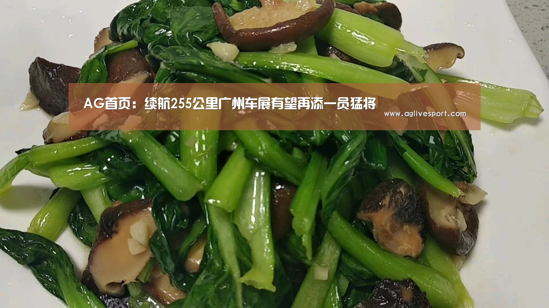 AG访问