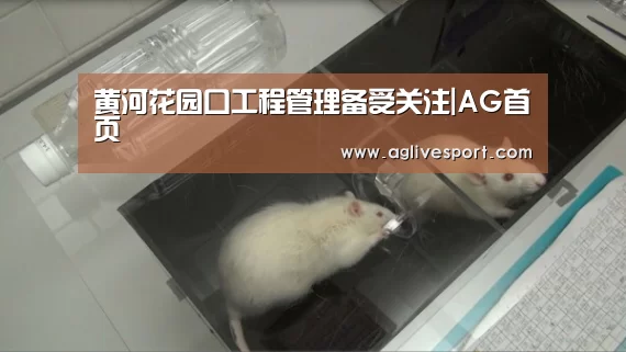 黄河花园口工程管理备受关注|AG首页