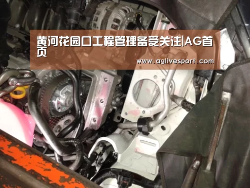 黄河花园口工程管理备受关注|AG首页(图4) AG真人