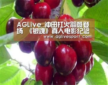 AG首页