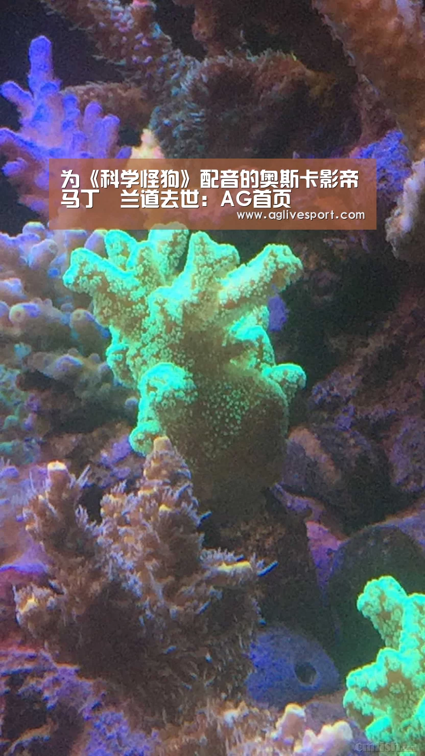 AG访问
