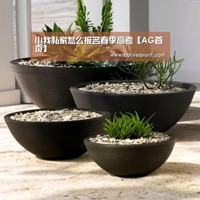 AG首页