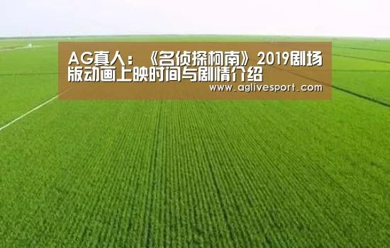 AG真人:《名侦探柯南》2019剧场版动画上映时间与剧情介绍(图3) AG首页
