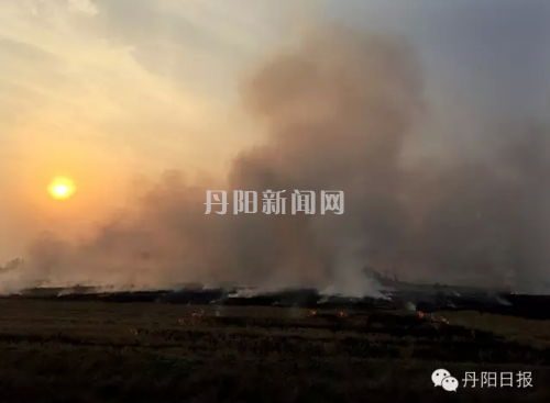 关于设立佳木斯市人口普查监视举报电话的通知-AG首页(图3)